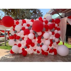 Organic Balloon Wall For Birthday Backdrop